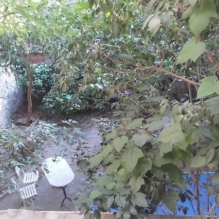 Appartement Centre Vue Jardin Narbona Zewnętrze zdjęcie