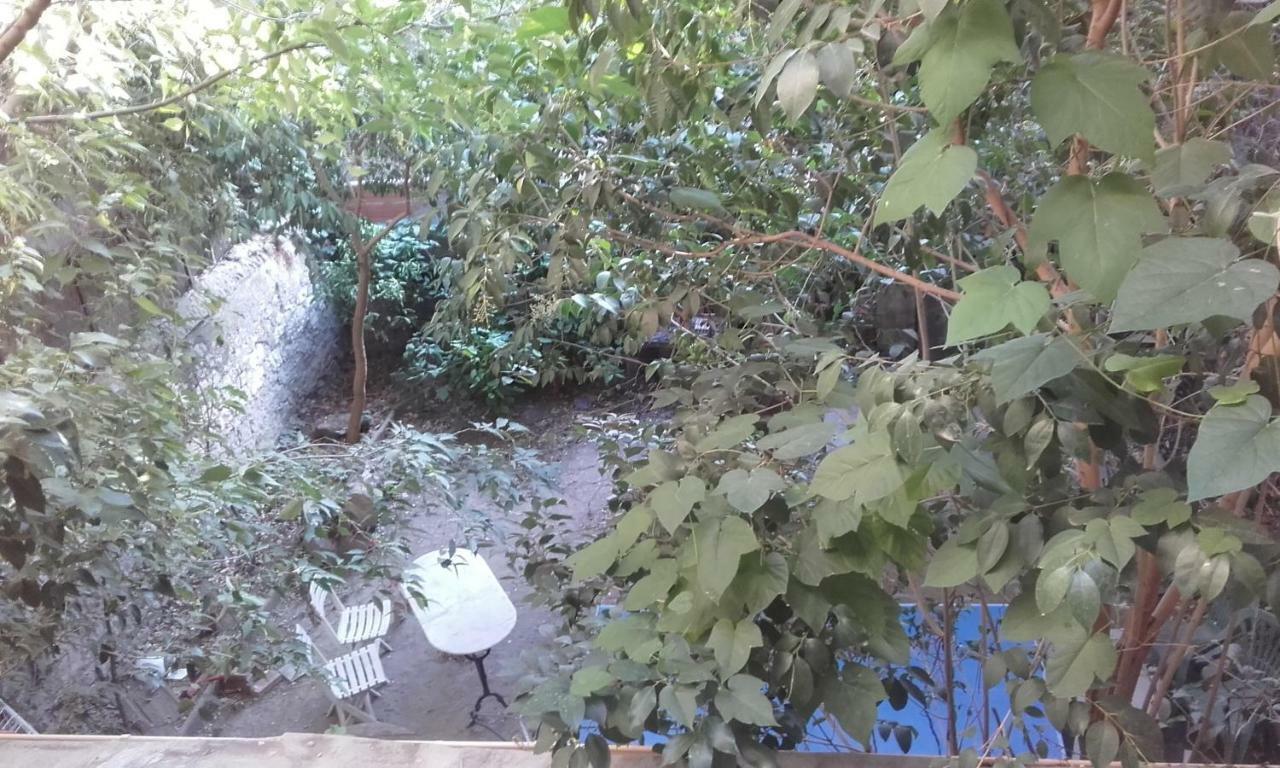 Appartement Centre Vue Jardin Narbona Zewnętrze zdjęcie